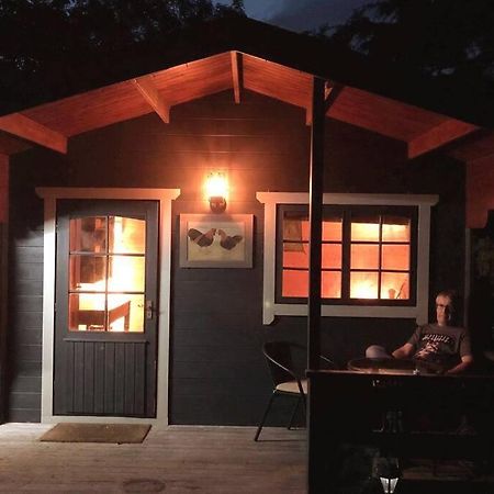 Unique Tiny House Near 3 Peaks - The Zedshed Lägenhet Bentham Exteriör bild