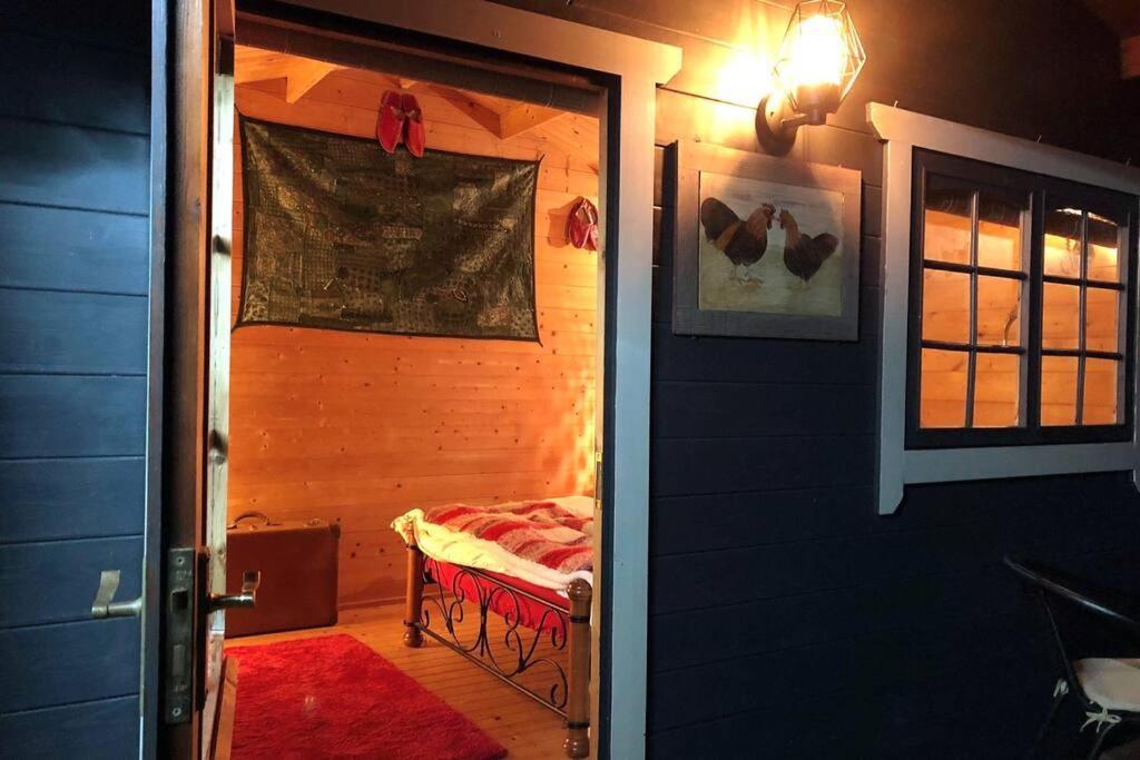 Unique Tiny House Near 3 Peaks - The Zedshed Lägenhet Bentham Exteriör bild